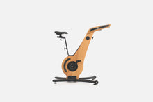 Load image into Gallery viewer, NOHRD Bike exercise bike - Cherry tree