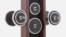 Load image into Gallery viewer, NOHRD WeightPlate Tower - Club 
